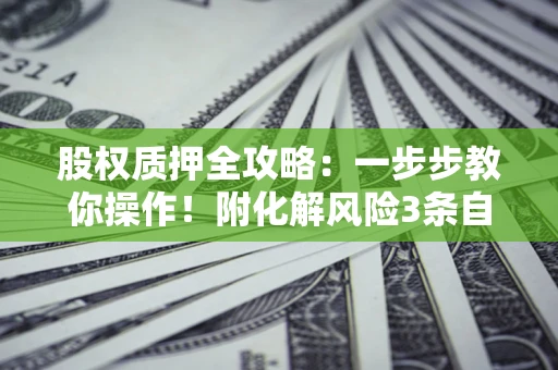 武汉股权质押全攻略：一步步教你操作！附化解风险3条自救法则