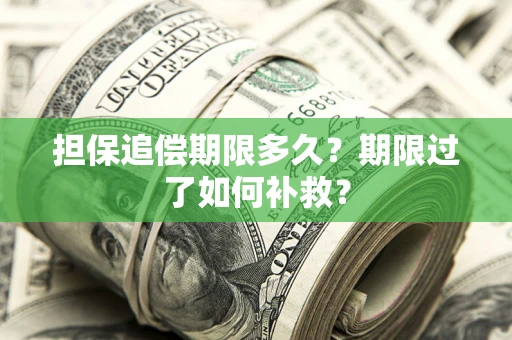 武汉担保追偿期限多久？期限过了如何补救？