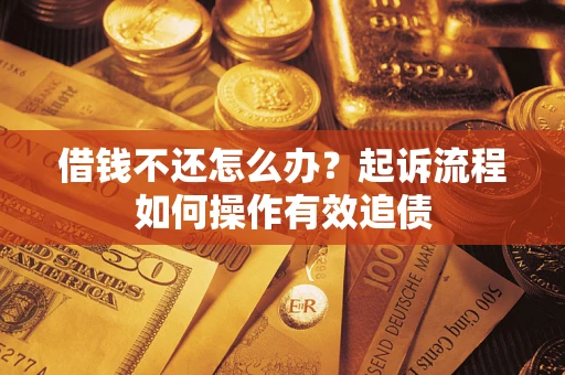 武汉借钱不还怎么办？起诉流程如何操作有效追债