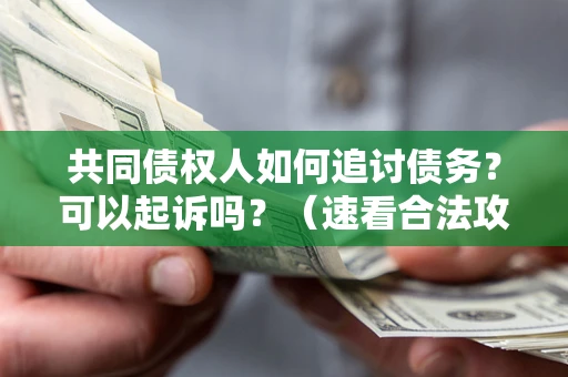 武汉共同债权人如何追讨债务？可以起诉吗？（速看合法攻略）