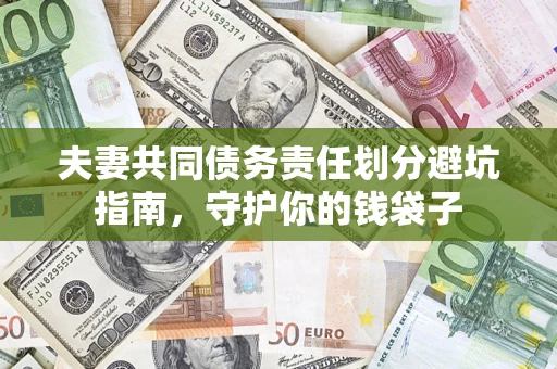武汉夫妻共同债务责任划分避坑指南，守护你的钱袋子