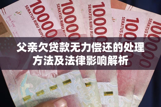 武汉父亲欠贷款无力偿还的处理方法及法律影响解析